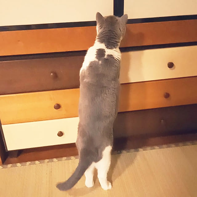rhuさんの実例写真