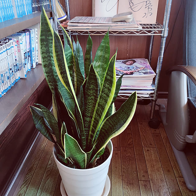 kiraさんの実例写真