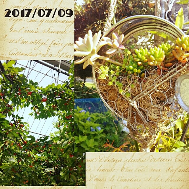 bousuke.215112さんの実例写真