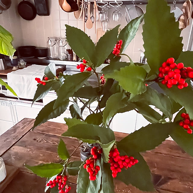 micoさんの部屋