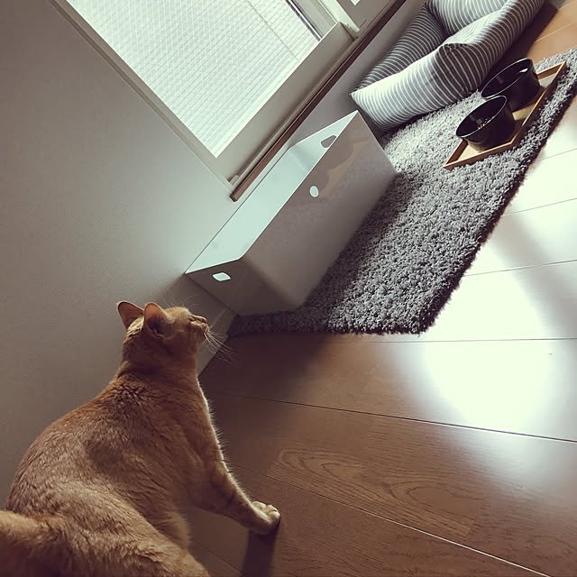 Yuharu.さんの実例写真