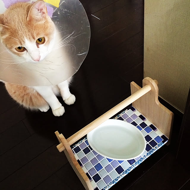 Fumiさんの実例写真