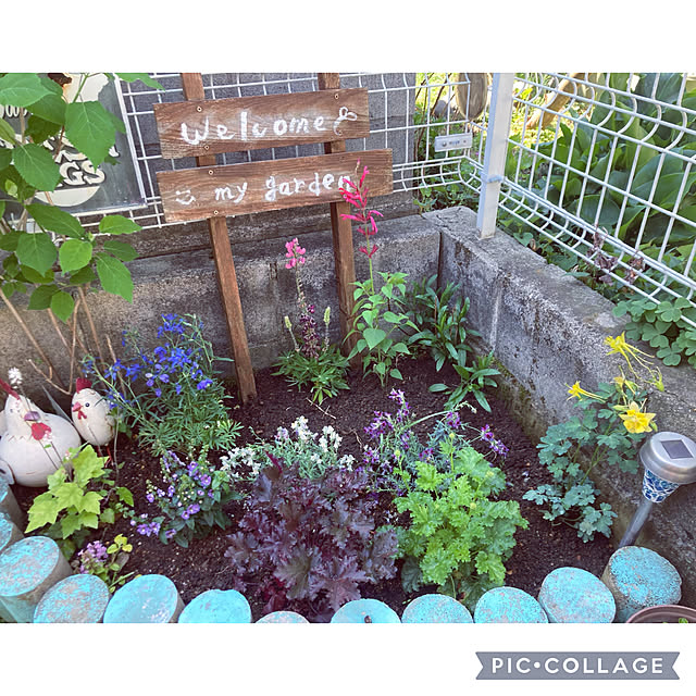 CoCo0617さんの部屋