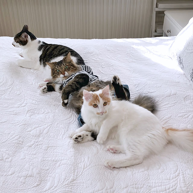 yuchiさんの実例写真