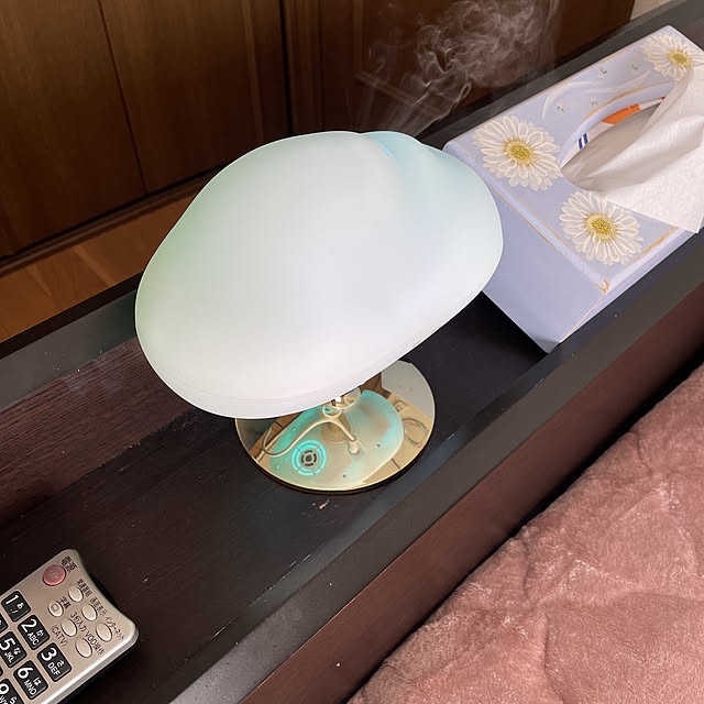 guguさんの実例写真