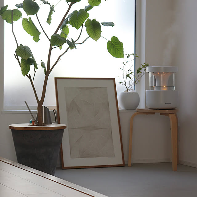 seriさんの実例写真