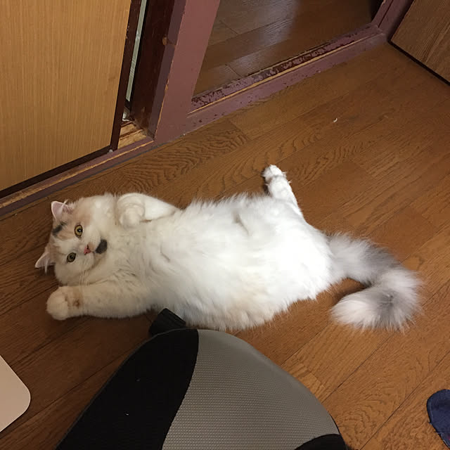 keibooさんの実例写真