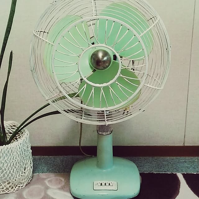 miriさんの実例写真