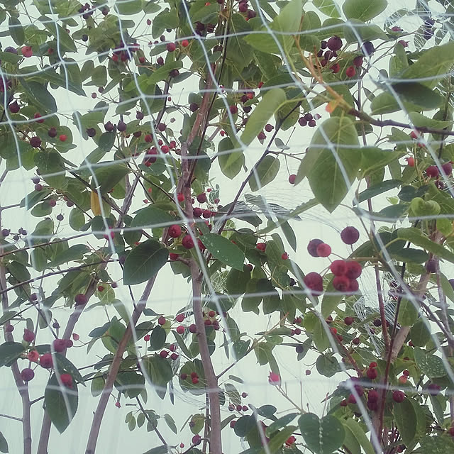 emih322さんの実例写真