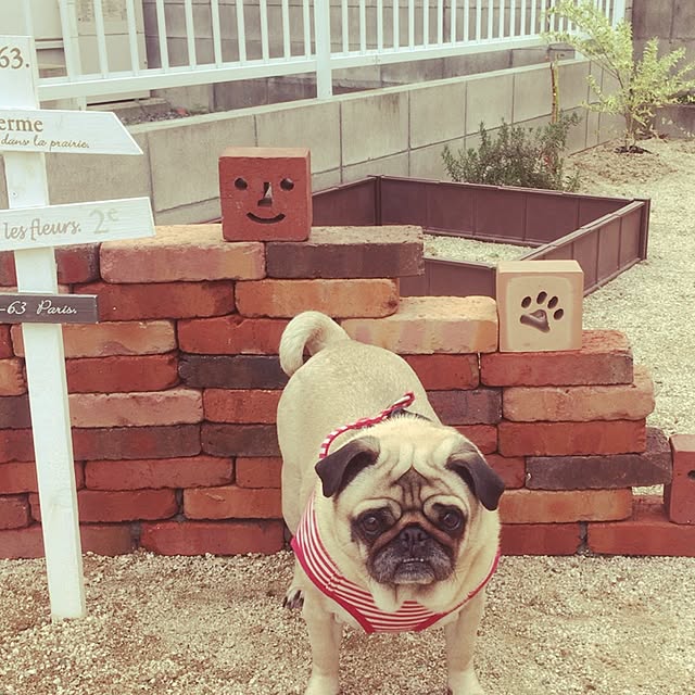 hananaさんの実例写真
