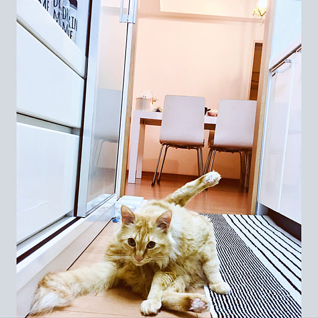 Ryokoさんの実例写真
