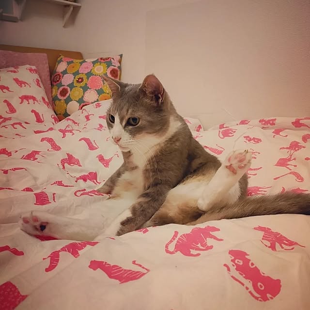 Yoko622さんの実例写真