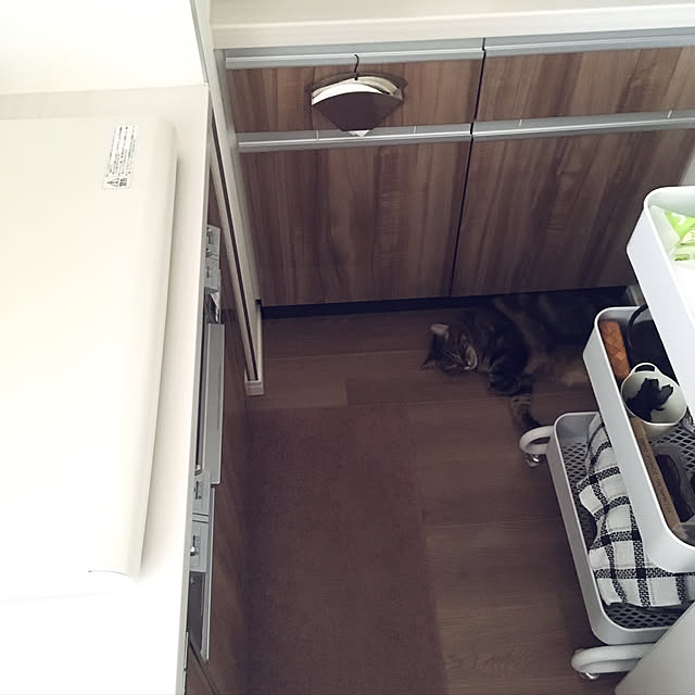 mikomaruさんの実例写真