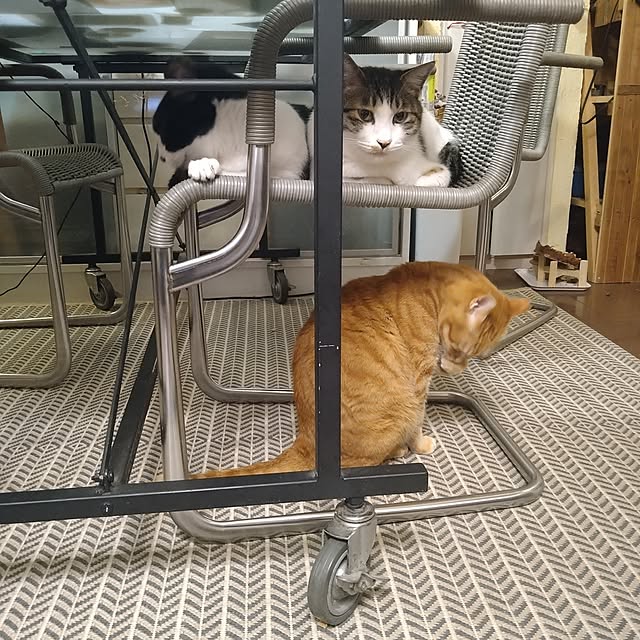 okyosan101さんの実例写真