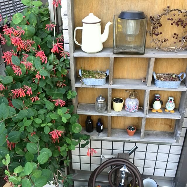 ayuさんの実例写真