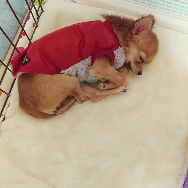 mokochikoさんの実例写真