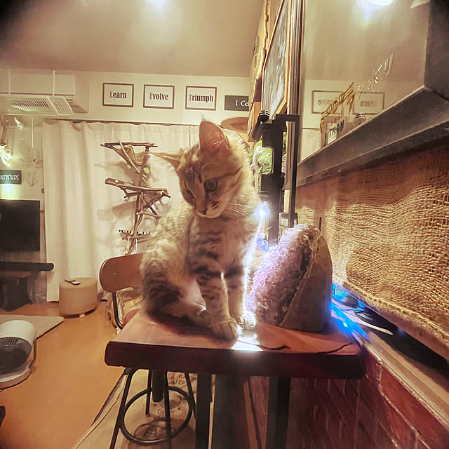 Mさんの部屋