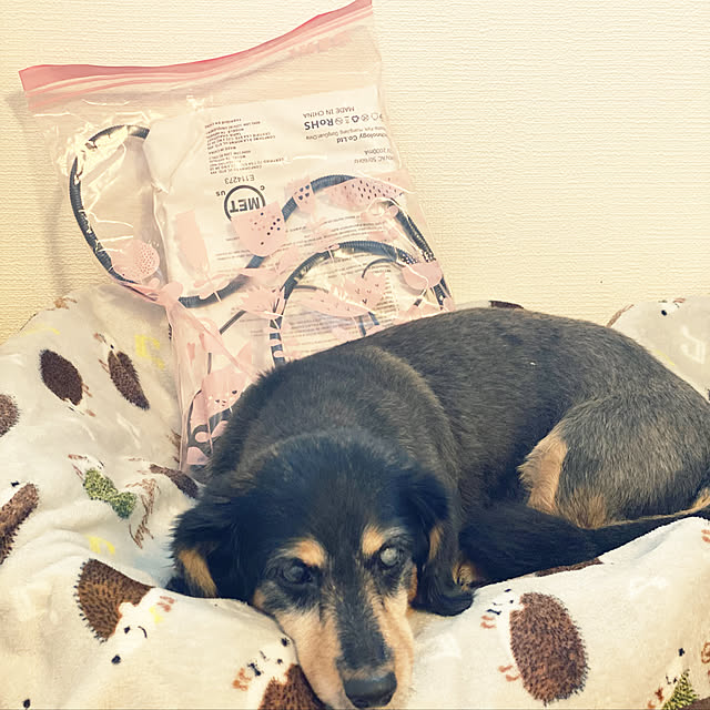 ohanaさんの実例写真