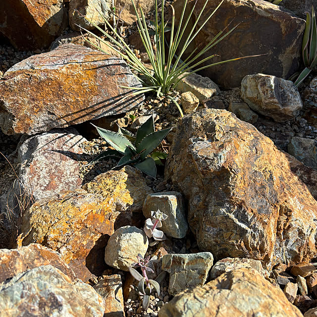 bonjiri0824さんの実例写真