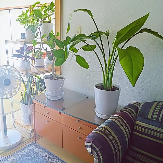 hanachanさんの部屋