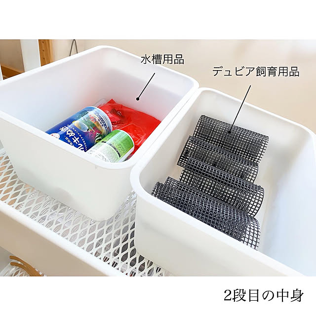 chaluさんの実例写真
