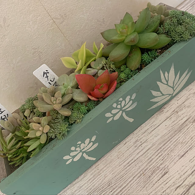 Fumiさんの部屋