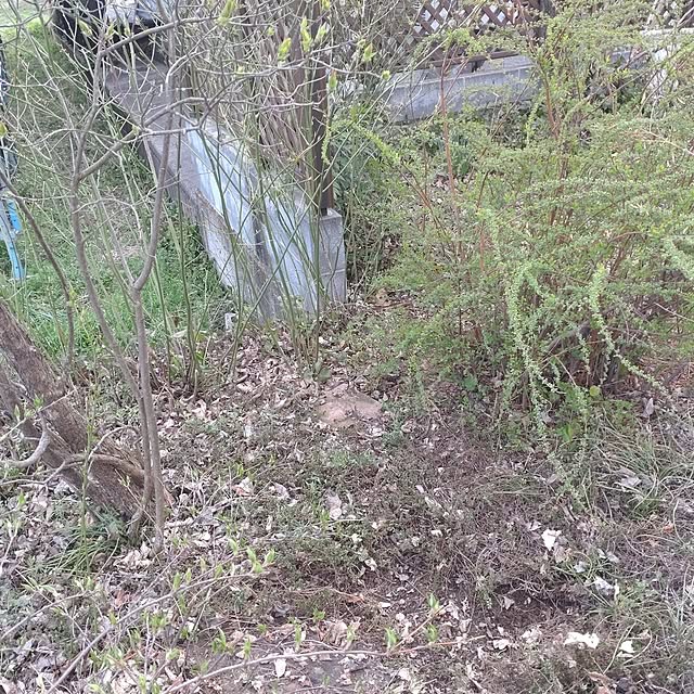 Hujikoさんの部屋