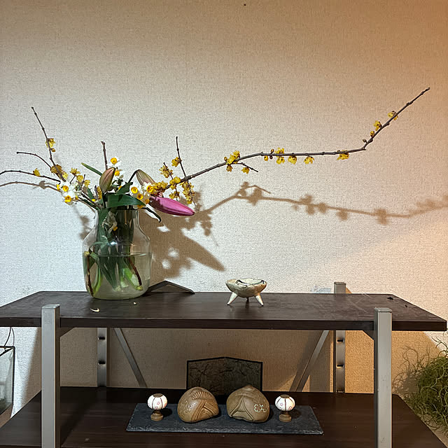 cagosukiさんの実例写真