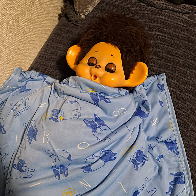 noaさんの実例写真