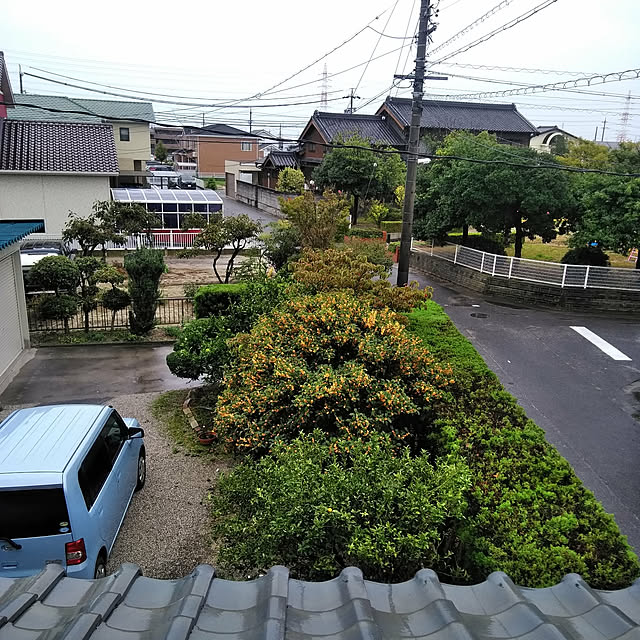 実例写真