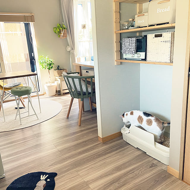 miwaさんの実例写真