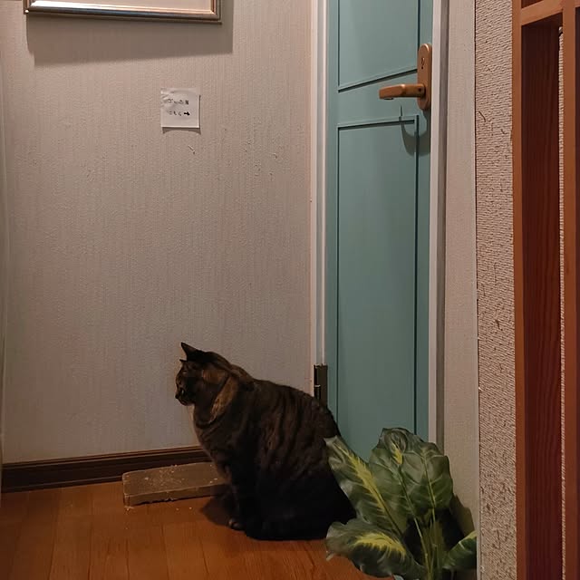 mori_6_12さんの部屋