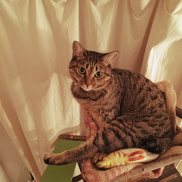 Mさんの実例写真