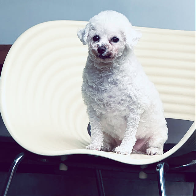chacoさんの実例写真