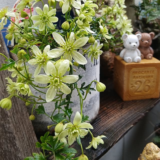 tomomiさんの部屋