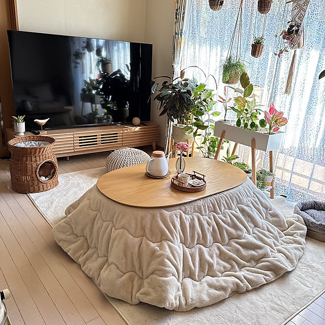 chinaさんの部屋