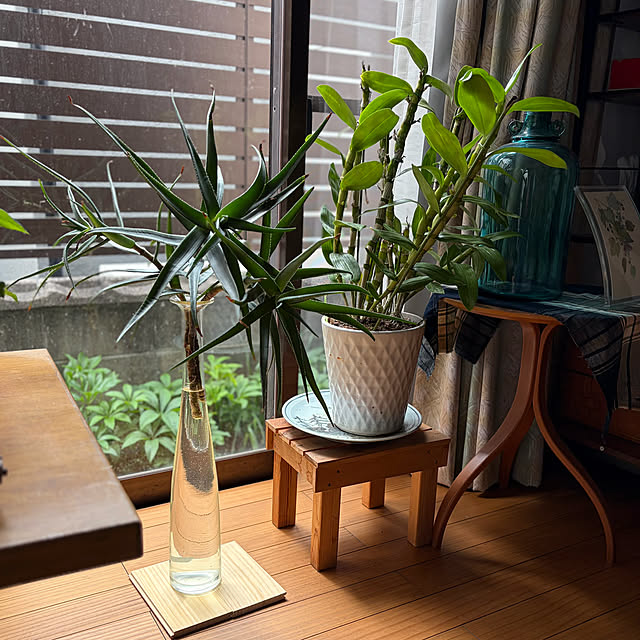 buchiさんの実例写真