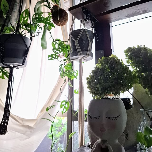 noaさんの部屋