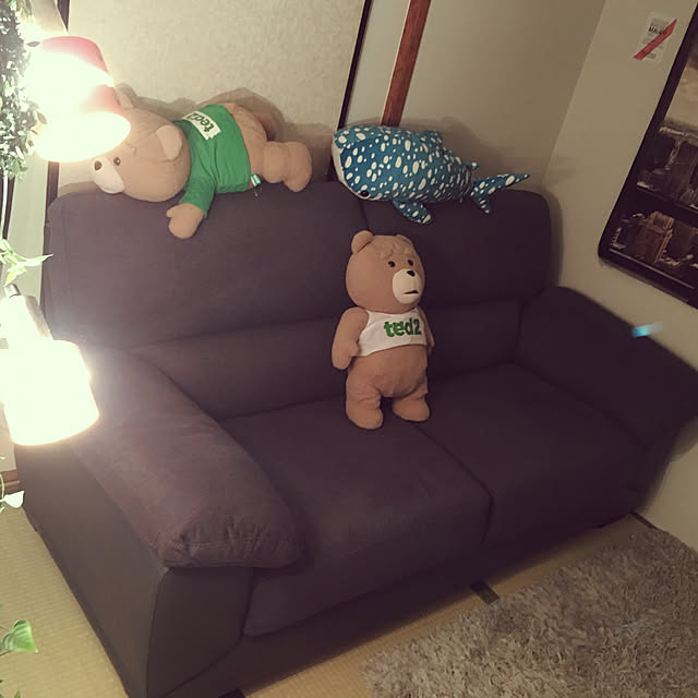 実例写真