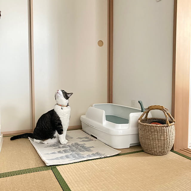 rinonori3さんの実例写真