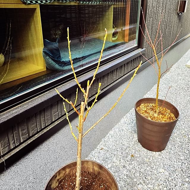 taroさんの実例写真
