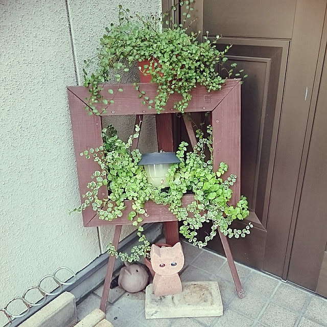 urizun333さんの実例写真
