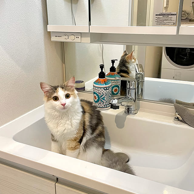 mさんの実例写真