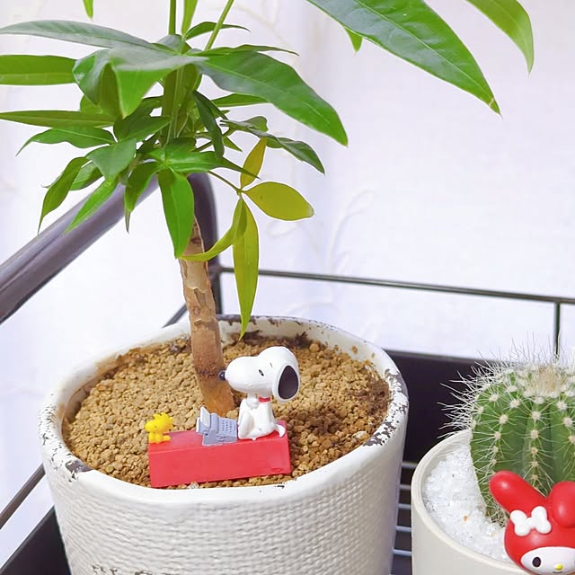 tamiさんの部屋