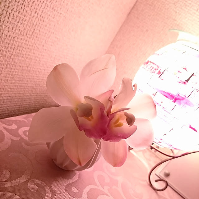 sさんの実例写真