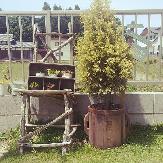 4165さんの実例写真