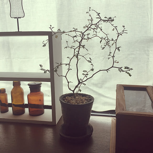 nidoneさんの実例写真