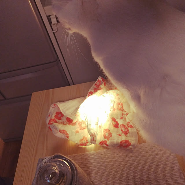 keikomokonさんの実例写真