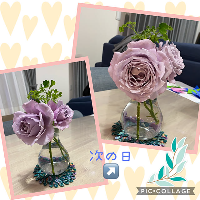 watasanさんの実例写真