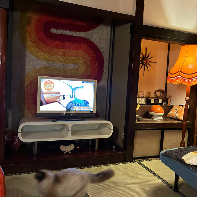 joshua.treeさんの部屋